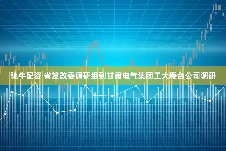 驰牛配资 省发改委调研组到甘肃电气集团工大舞台公司调研