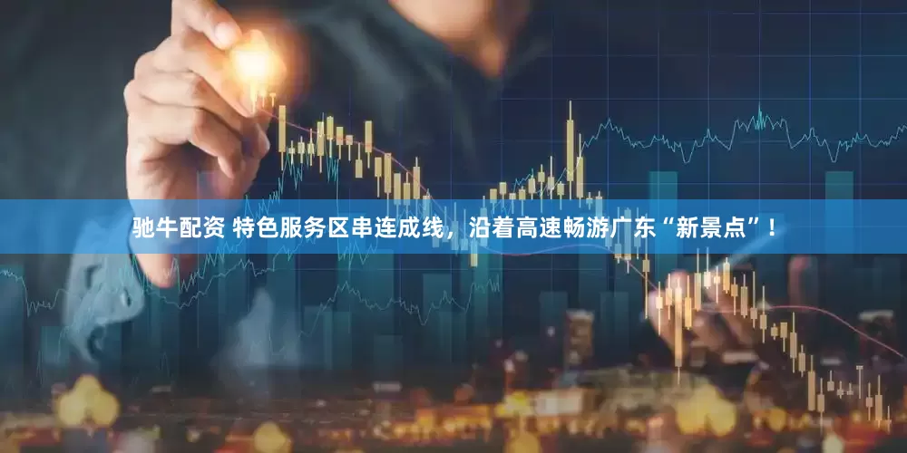 驰牛配资 特色服务区串连成线，沿着高速畅游广东“新景点”！